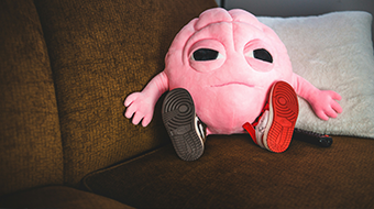 Cerveau et paradoxe du repos actif post thumbnail image